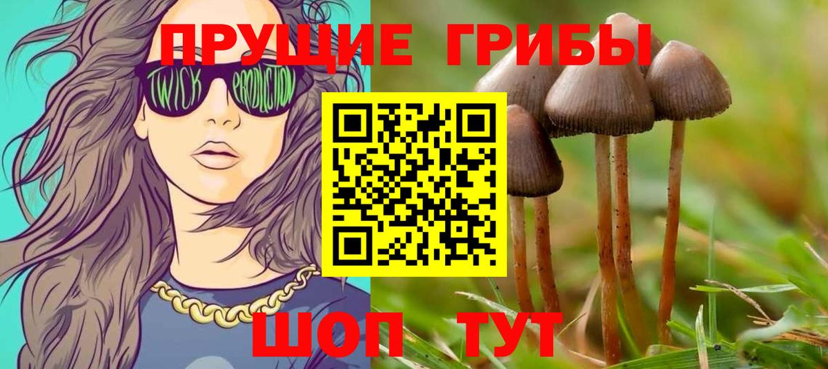 Псилоцибиновые грибы GOLDEN TEACHER  Вход с VPN  закладки  Куйбышев 