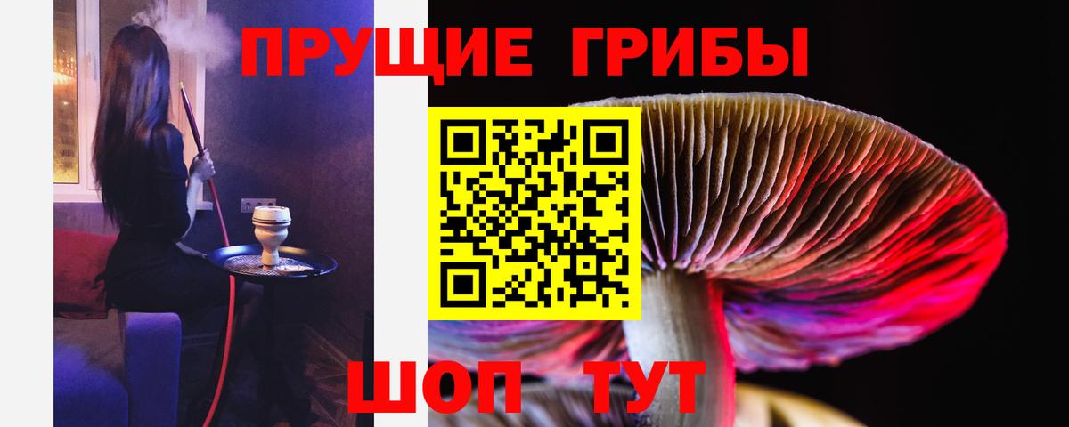 Псилоцибиновые грибы прущие грибы Куйбышев